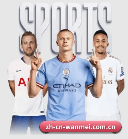 五大服务分区,信息按项目分类(wanmei)